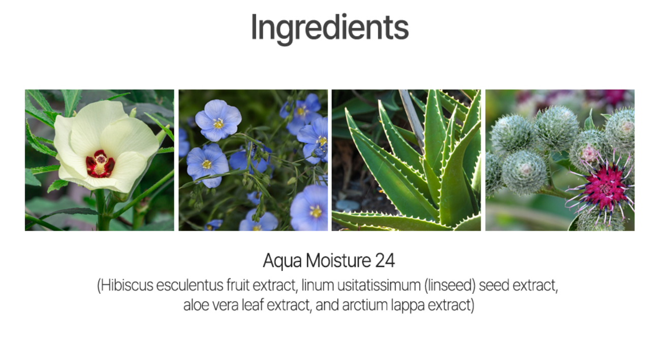 Ingredients list with images of natural extracts on a white background, hibiscus fruit extract, aloe vera leaf extract..etc